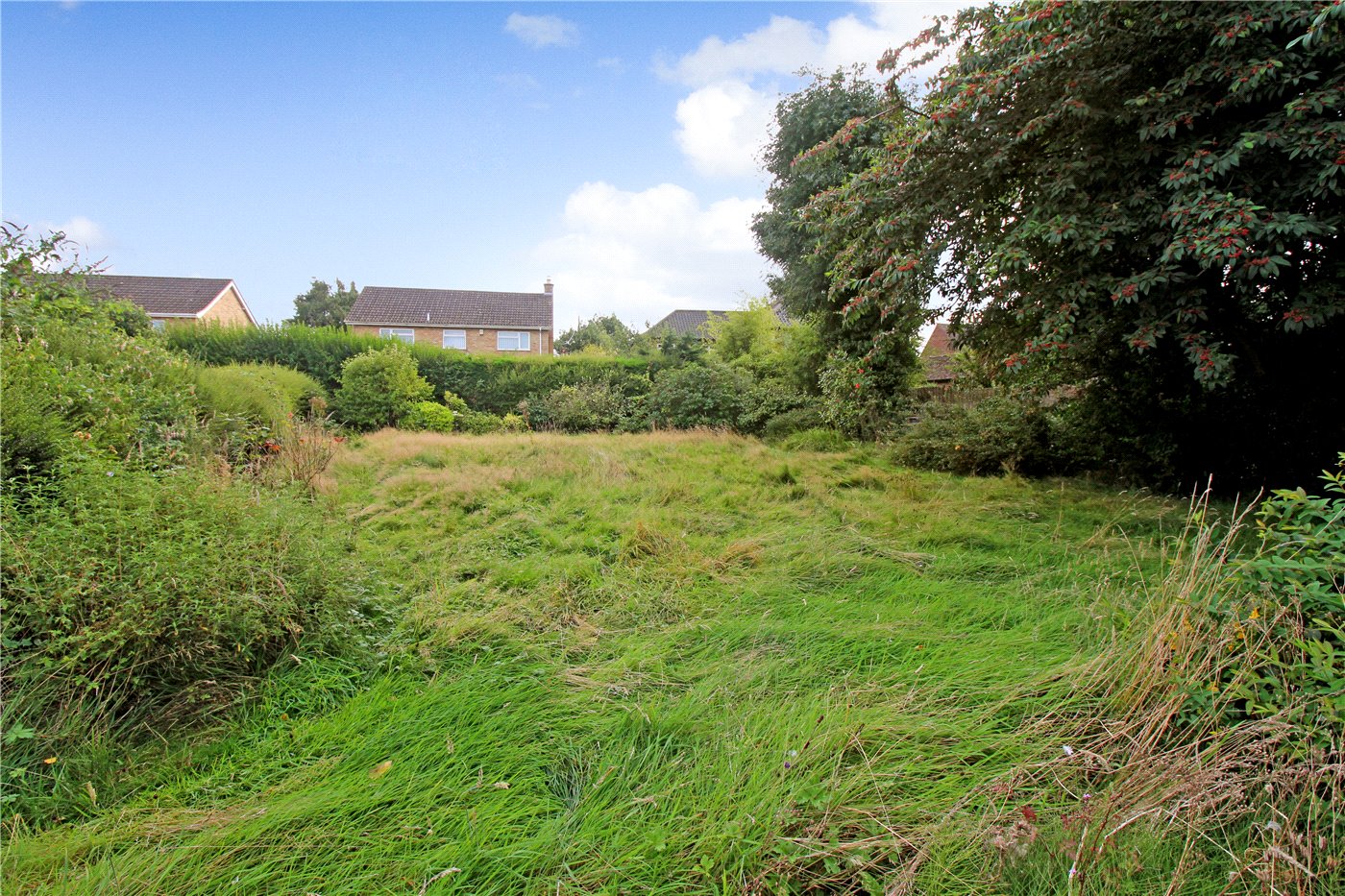 Garden 2